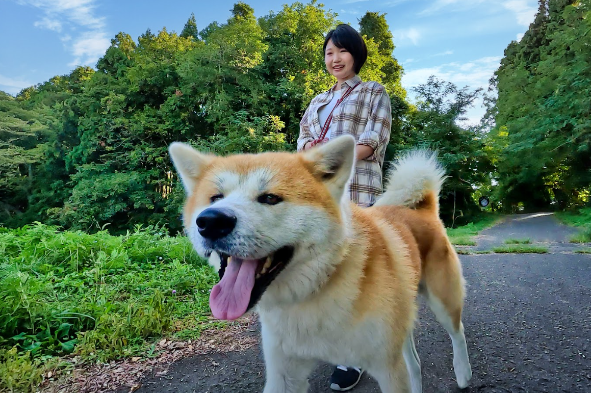 エリアマップ画像