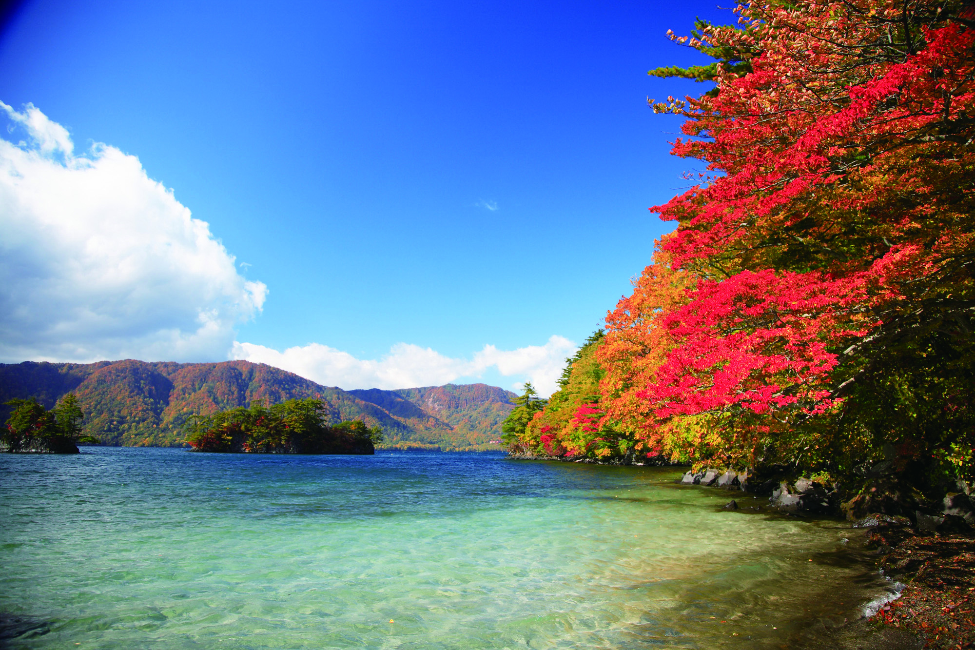 保護中: 【北東北・秋の深度ある旅】 鉄道ファン必見！東北の秘境・紅葉の道